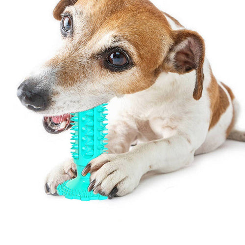 Dog Dental Chew Toothbrush - view 2