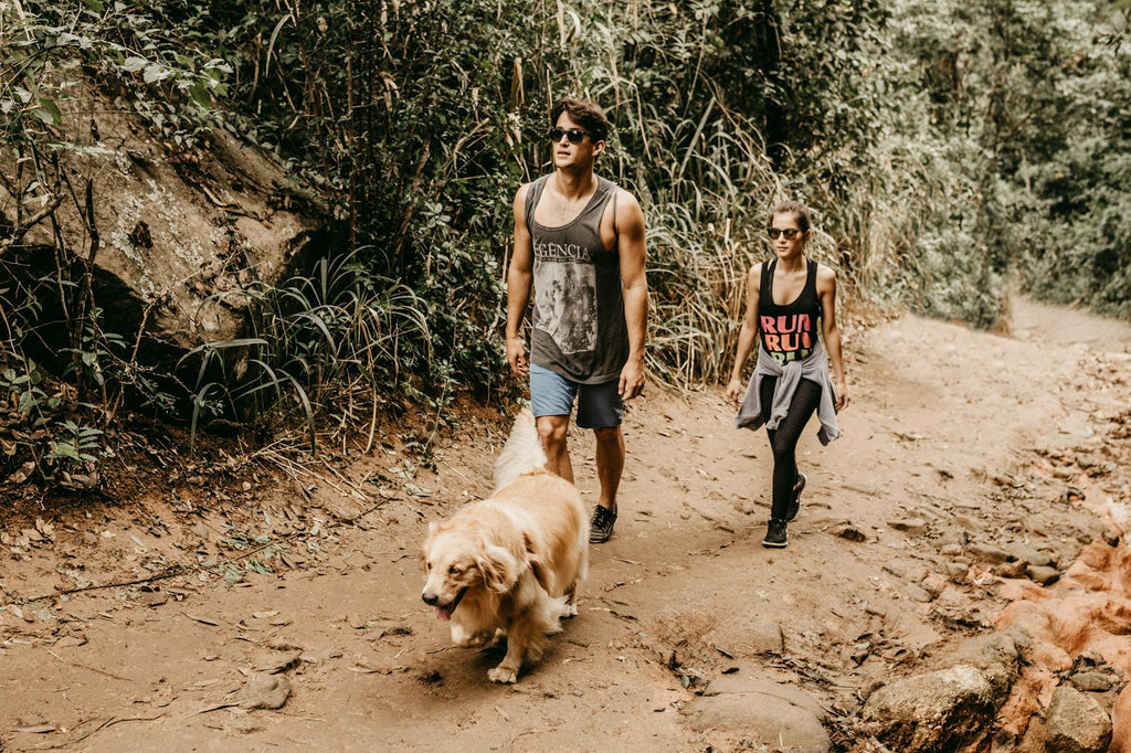 Dog hiking trail with owner — natural joint and hip support supplement