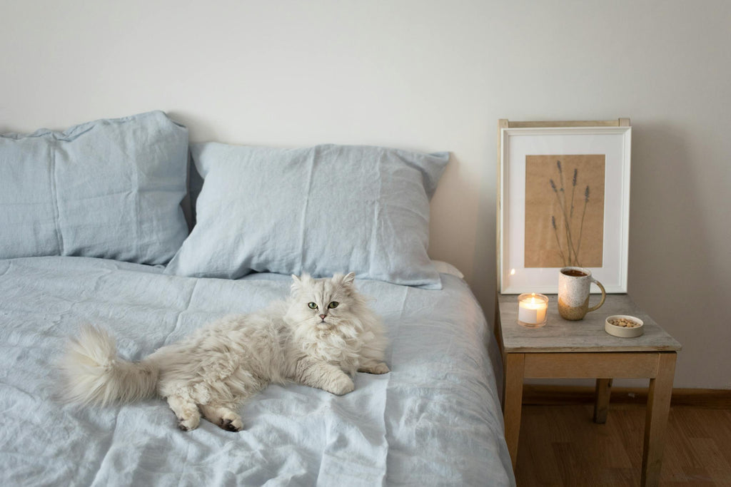 Fluffy white cat relaxing on linen bed — Soft Landing Calming Chews for Cats by Zenly