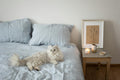 Fluffy white cat relaxing on linen bed — Soft Landing Calming Chews for Cats by Zenly