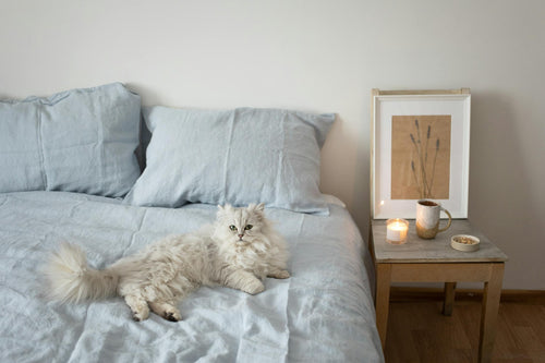 Fluffy white cat relaxing on linen bed — Soft Landing Calming Chews for Cats by Zenly